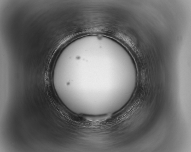 X0000096201308200802081532