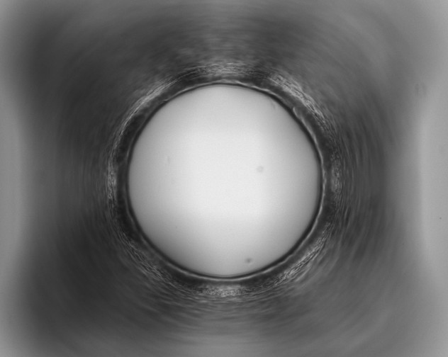 X0000096201309200802081532