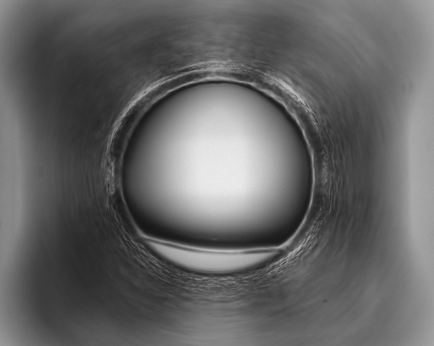 X0000096201310200802081532