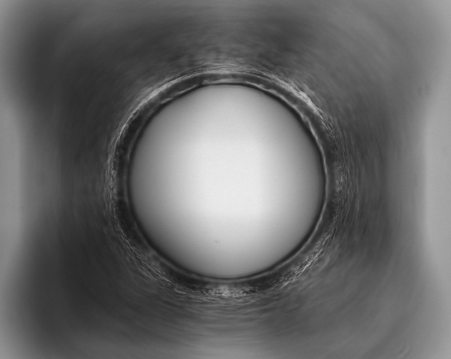 X0000096201311200802081532