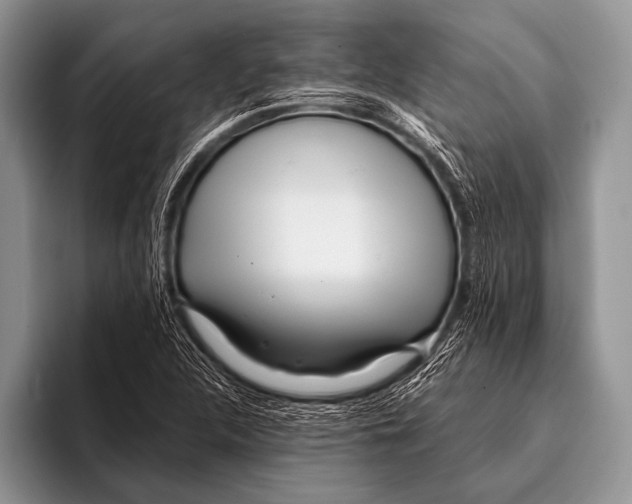 X0000096201312200802081532