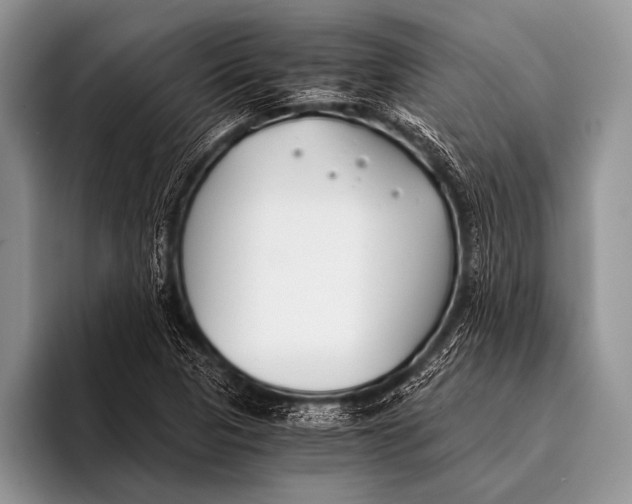 X0000096201313200802081532