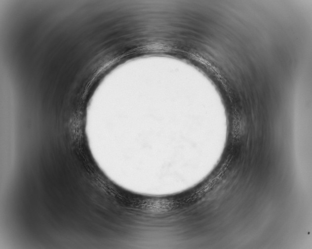 X0000096201314200802081532