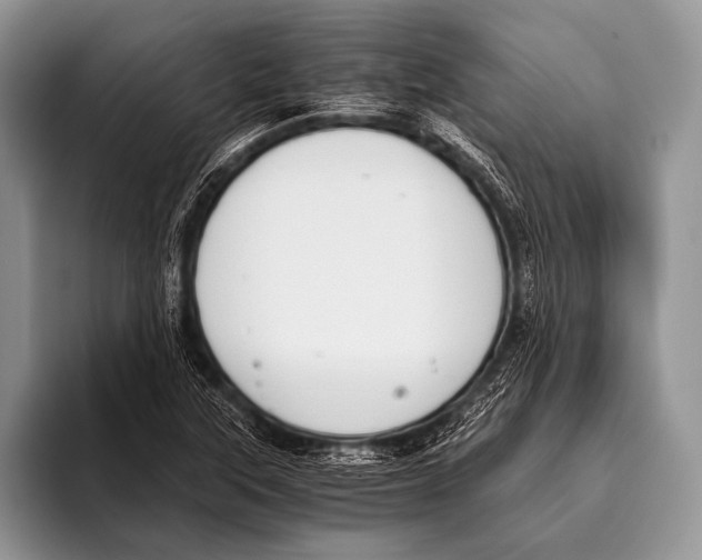 X0000096201315200802081532