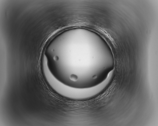 X0000096201316200802081532