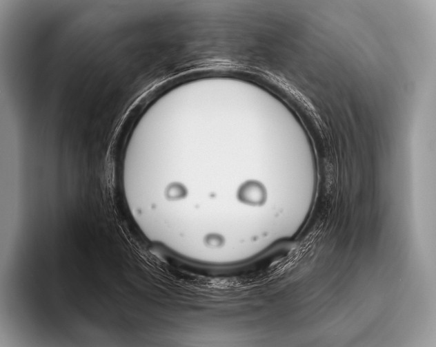 X0000096201318200802081532