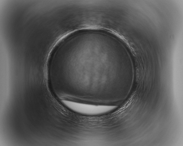 X0000096201319200802081532