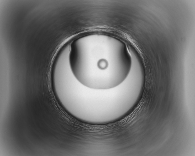 X0000096201320200802081532