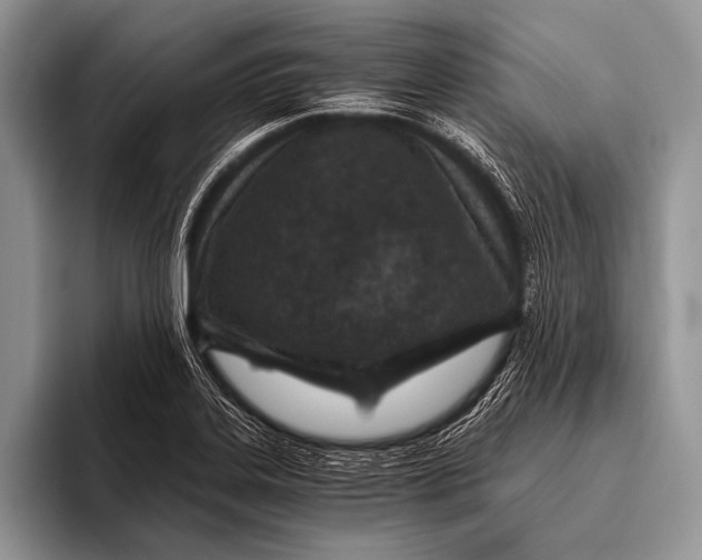 X0000096201323200802081532