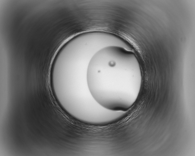 X0000096201324200802081532