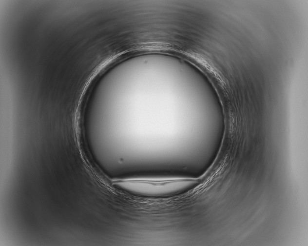 X0000096201325200802081532