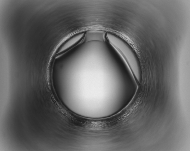 X0000096201326200802081532