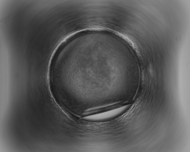 X0000096201327200802081532