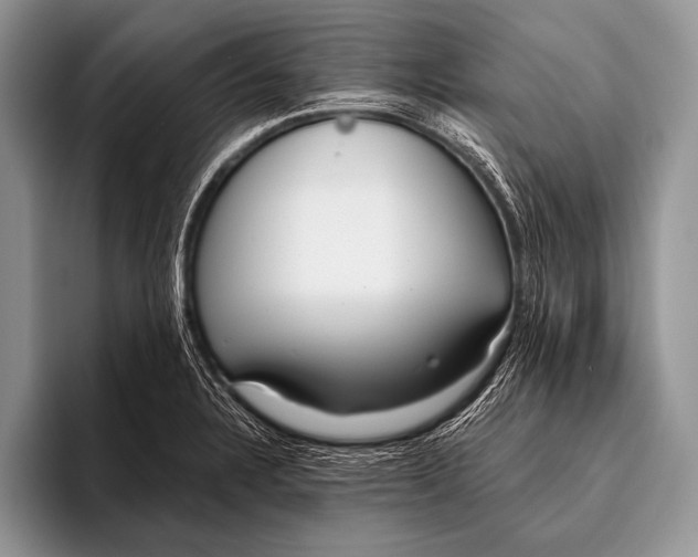 X0000096201328200802081532