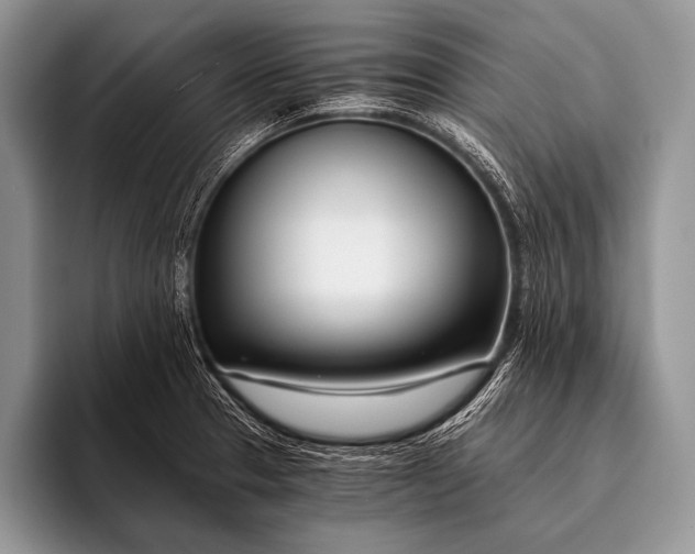 X0000096201329200802081532