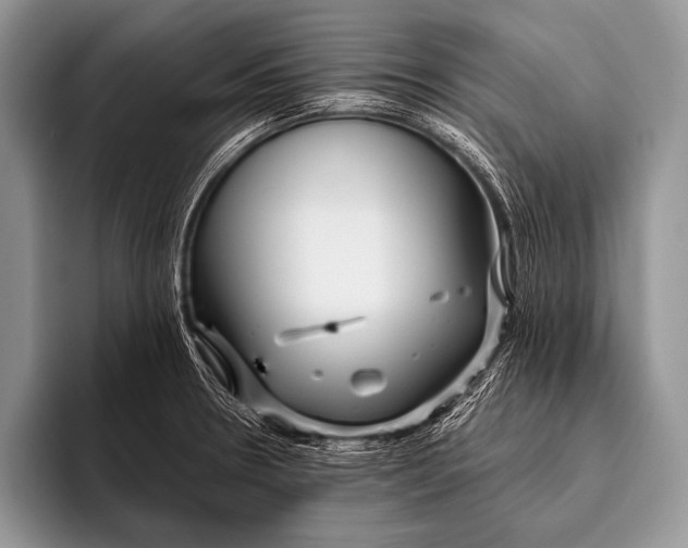 X0000096201330200802081532