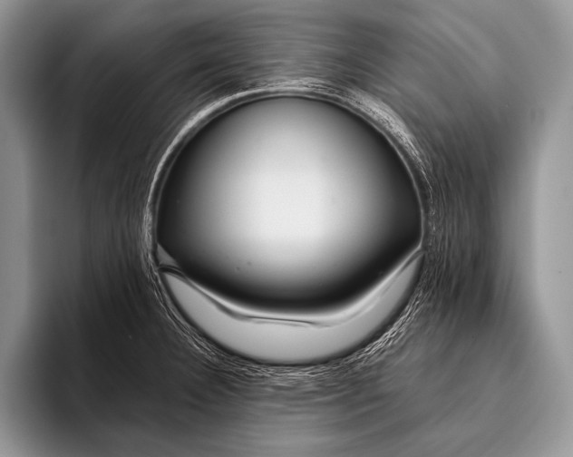 X0000096201332200802081532