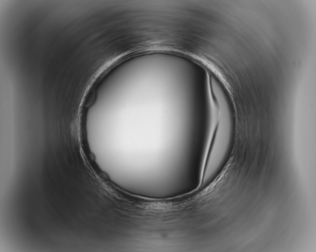 X0000096201333200802081532