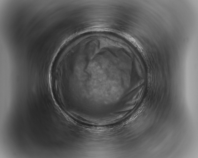 X0000096201334200802081532