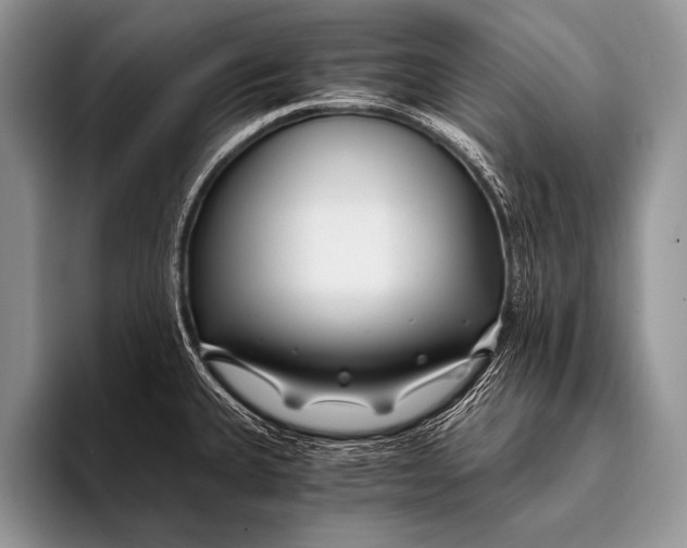 X0000096201335200802081532