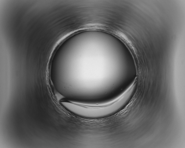 X0000096201336200802081532