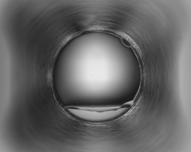 X0000096201337200802081532