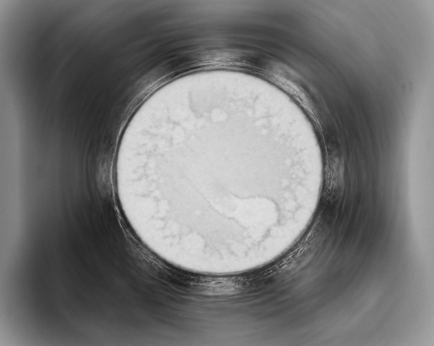 X0000096201338200802081532