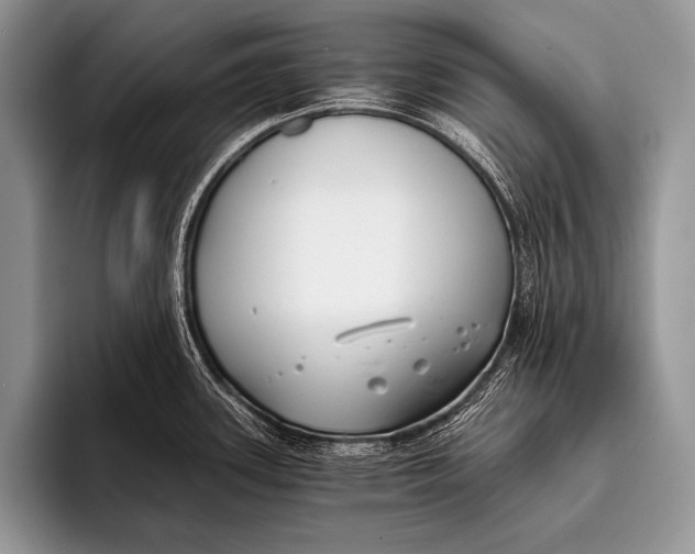 X0000096201339200802081532