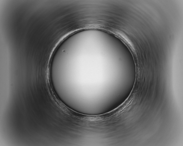 X0000096201340200802081532