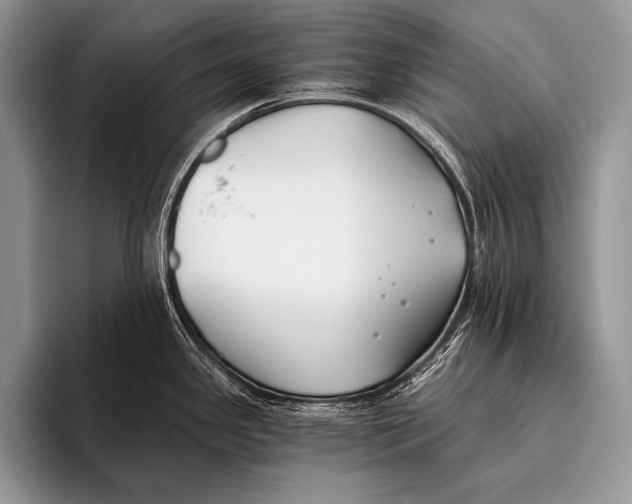 X0000096201341200802081532