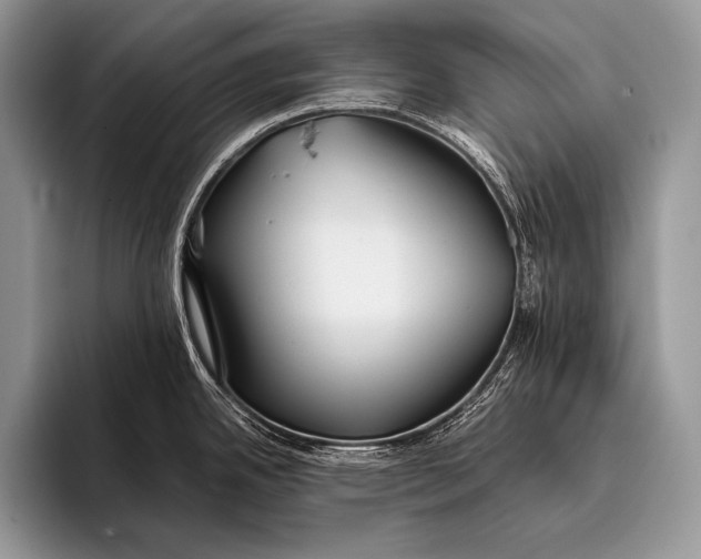 X0000096201342200802081532