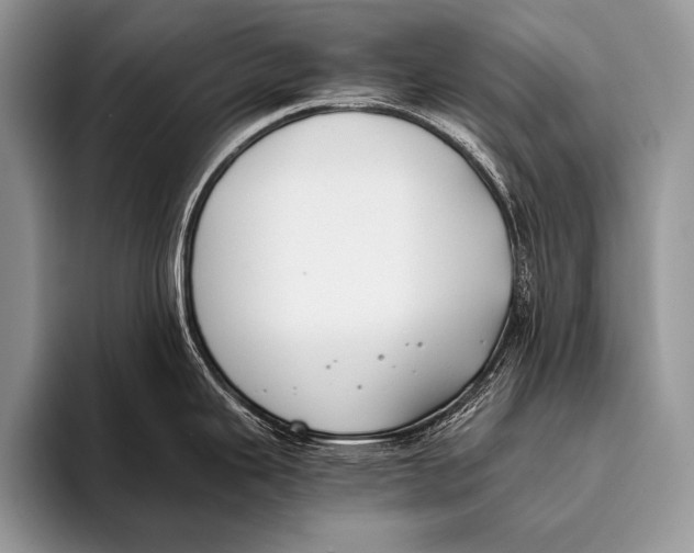 X0000096201343200802081532