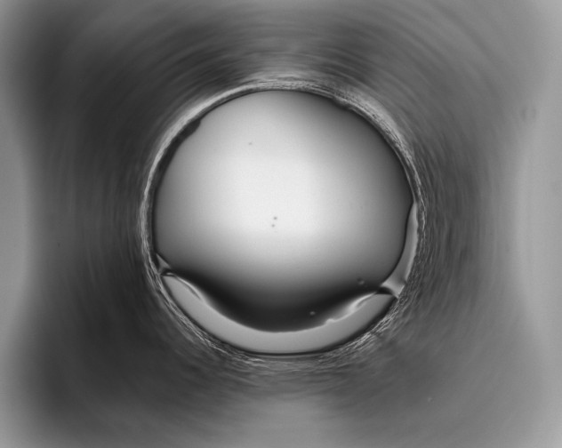 X0000096201344200802081532