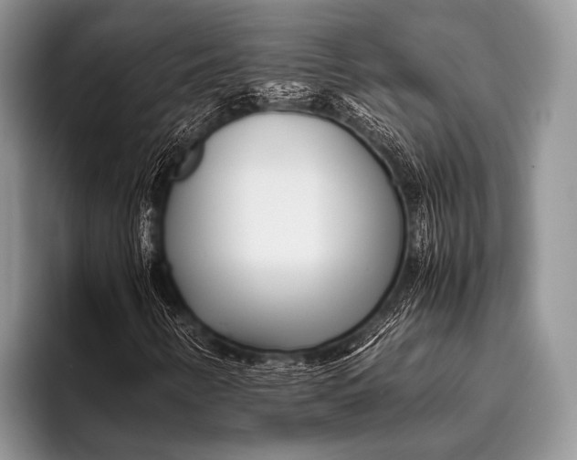 X0000096201346200802081532