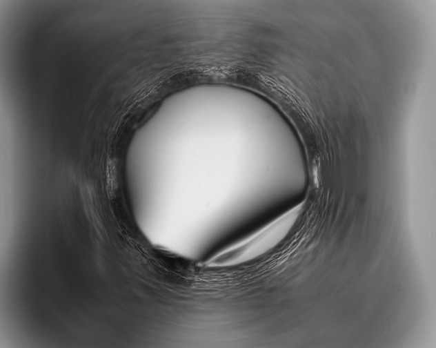 X0000096201347200802081532