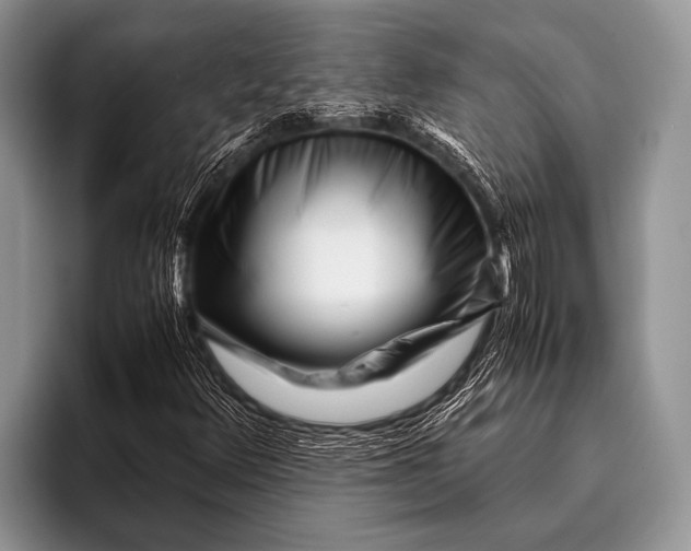 X0000096201348200802081532