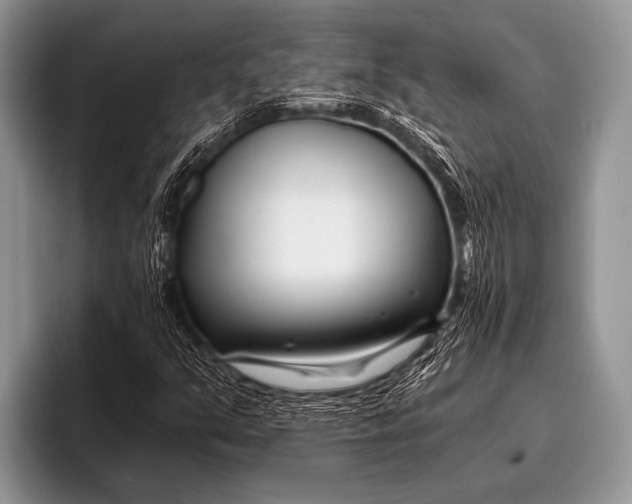 X0000096201351200802081532