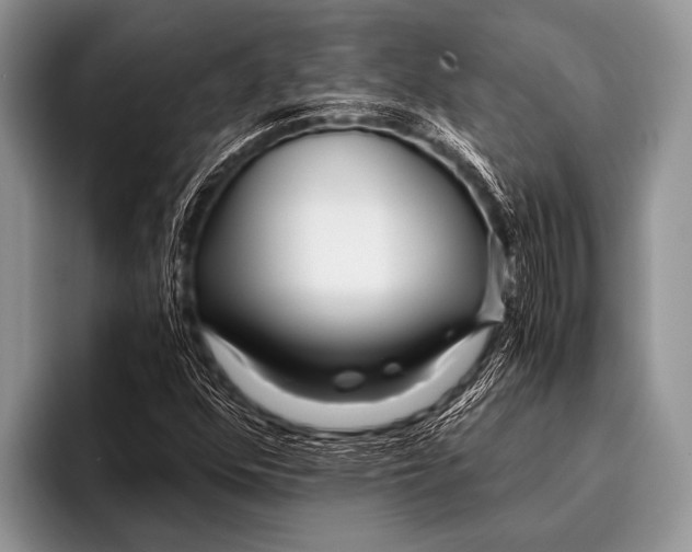 X0000096201352200802081532