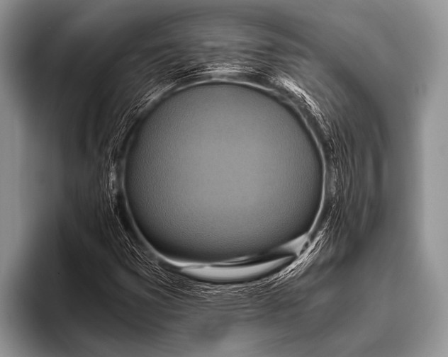 X0000096201353200802081532