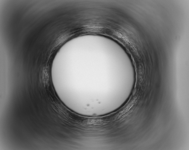 X0000096201354200802081532