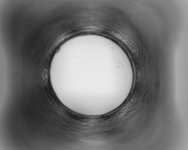 X0000096201355200802081532