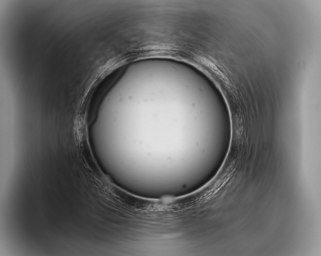 X0000096201357200802081532