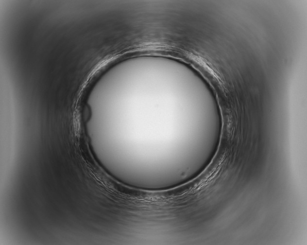 X0000096201358200802081532