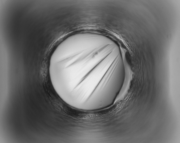 X0000096201359200802081532