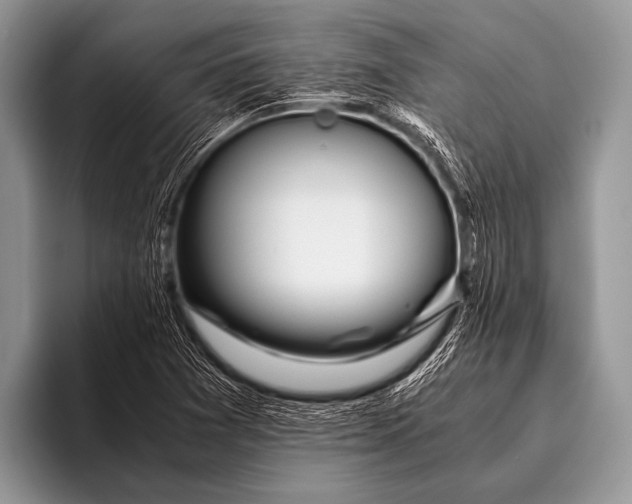 X0000096201361200802081532