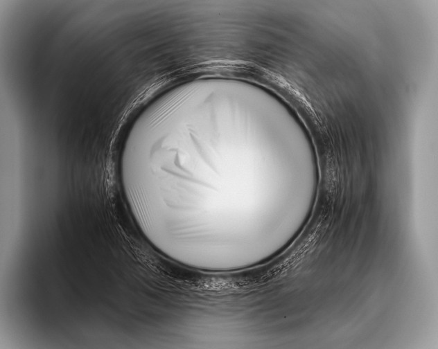 X0000096201362200802081532