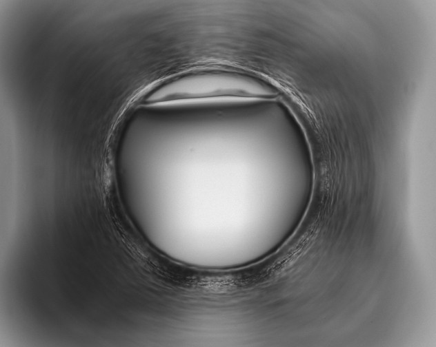 X0000096201363200802081532