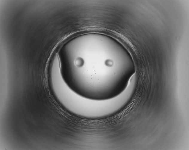 X0000096201364200802081532