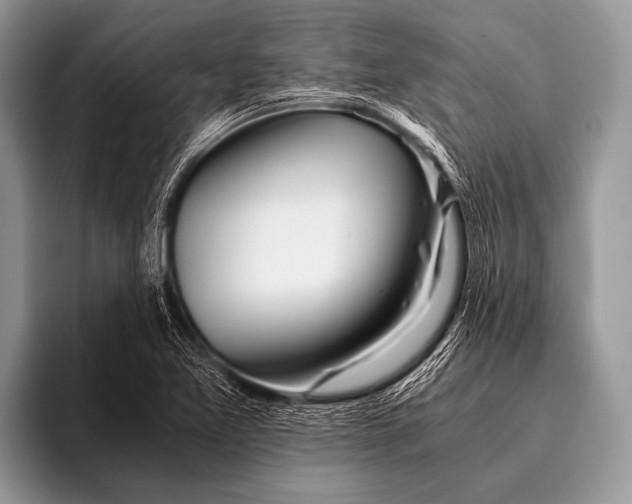 X0000096201365200802081532