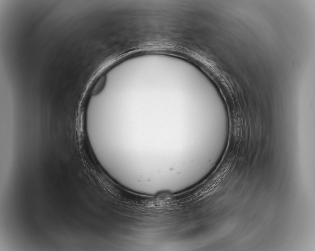 X0000096201366200802081532